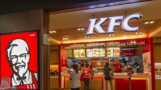 Angleterre : elle découvre une tête de poulet dans sa boîte de nuggets KFC