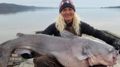 Une grand-mère pêche un « monstre d’eau douce » de 40 kilos, le plus gros qu’elle ait jamais vu