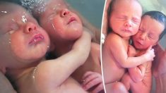 VIDÉO : Des jumeaux nouveau-nés qui s’étreignent pendant le bain après l’accouchement deviennent viraux avec 50 millions de visiteurs