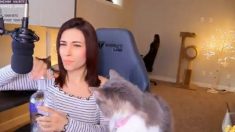 La « streameuse » Alinity fait l’objet d’une enquête après avoir lancé son chat puis lui avoir fait boire de la vodka