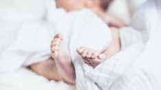 Bébés nés sans bras : des investigations complémentaires dans le Morbihan, pas dans l’Ain