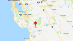 Fusillade lors d’un festival en Californie, l’auteur des coups de feu abattu