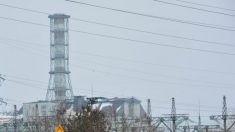 Tchernobyl : une activité radioactive anormale inquiète les chercheurs
