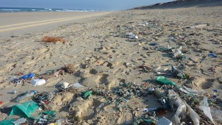 La Méditerranée, la mer la plus polluée d’Europe avec 300 déchets par km²