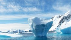 Une nouvelle étude finlandaise révèle que l’activité humaine a une influence mineure sur le changement de la température mondiale