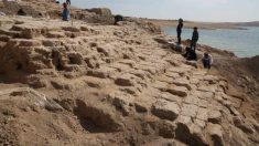 Un palais vieux de 3 400 ans émerge d’un site après la baisse du niveau des eaux due à la sécheresse