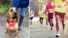 Une chienne « paresseuse » sort faire pipi, mais court accidentellement un demi-marathon et termine à la 7e place