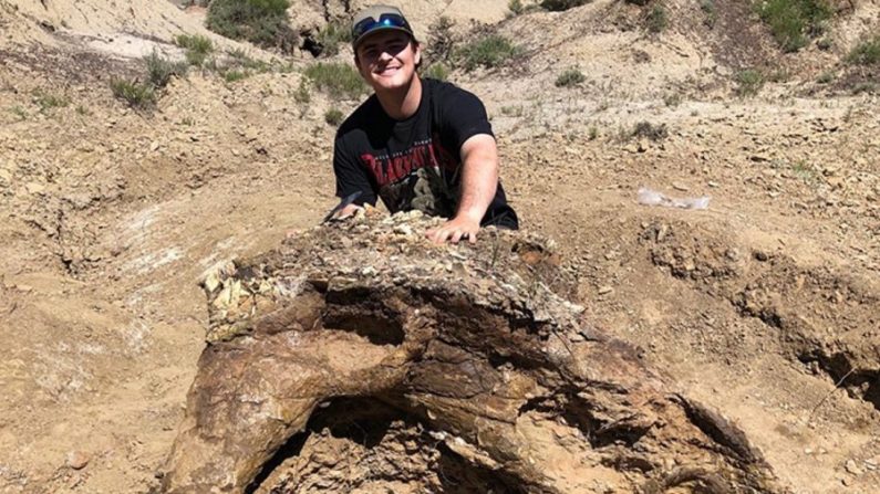 Harrison Duran, un étudiant de cinquième année en biologie, a découvert un crâne de Triceratops lors d'une fouille paléontologique au Dakota du Nord. (UC Merced) 