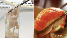 Un ver solitaire de 1m50 «se tortille» hors du corps d’un homme – le médecin soupçonne la consommation de sushis comme étant la cause de l’infestation