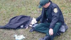 Un policier réconforte une chienne sur les lieux d’un accident de voiture – la photo devient virale sur Internet