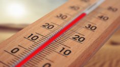 Canicule : le thermomètre va grimper jusqu’à 43 °C dans le Sud-Ouest et le Centre-Est