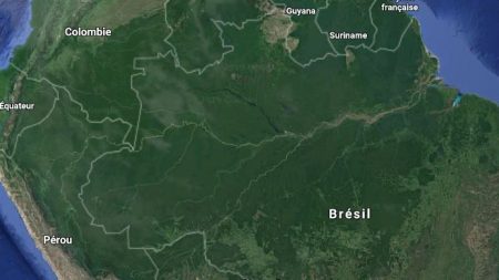 Des communiqués erronés sur les incendies de forêt en Amazonie trompent et sapent la confiance du public dans les médias