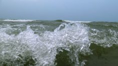 « Tsunami » dans une piscine à vagues en Chine, 44 blessés