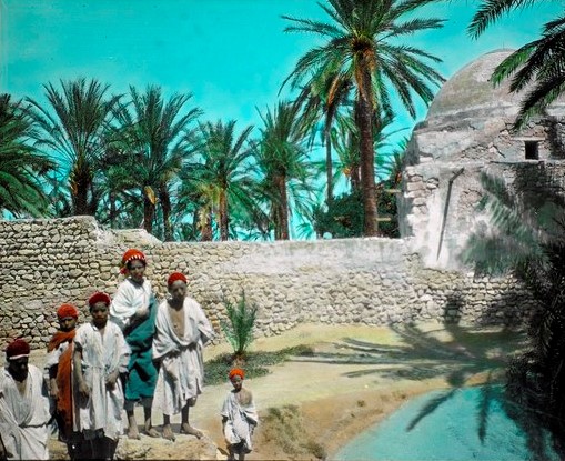 -Oasis de Gabès 1923, une palmeraie qui recueille un précieux nectar le legmi. Photographe Leo Wehrli de Wikipedia.