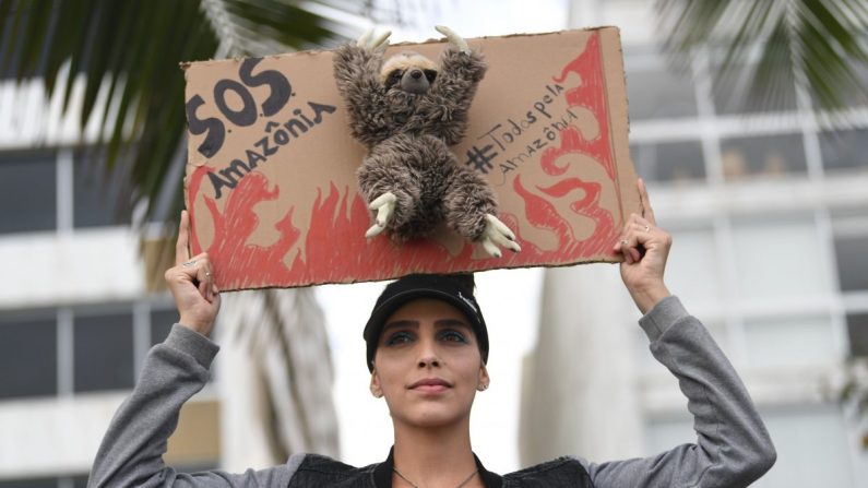 Une militante manifeste contre la destruction de la forêt amazonienne, à Ipanema Beach à Rio de Janeiro, Brésil, le 25 août 2019. (Mauro Pimentel/AFP/Getty Images)
