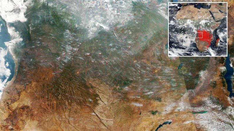 Plusieurs centaines d’incendies en Angola lors d’un passage du satellite MODIS de la Nasa, le 19 août dernier. Les points rouges sont des anomalies thermiques liées à des incendies, des flammes, des volcans ou des torchères. Photo MODIS/Nasa