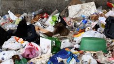 Marseille : il vit au milieu de 24 tonnes de déchets dans son appartement