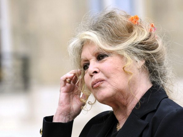 Brigitte Bardot. (Photo : ERIC FEFERBERG/AFP/Getty Images.)