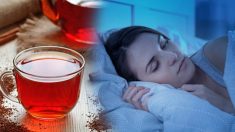 Le thé rooibos : une boisson sans caféine pour soulager la douleur et vous aider à mieux dormir