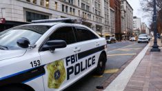 Le FBI arrête 67 pédophiles gérant des trafics sexuels et récupère 103 enfants victimes