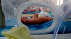 Un nouveau-né meurt déshydraté – sa mère l’allaitait sans se rendre compte qu’elle n’avait pas de lait