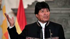 Evo Morales est dénoncé pour avoir provoqué les incendies en Amazonie en autorisant la culture illégale de la coca