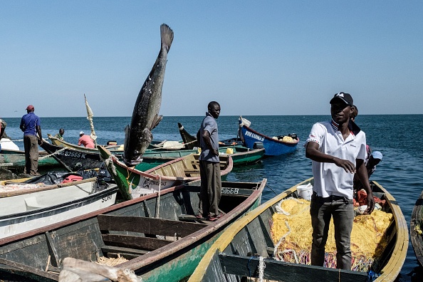 -Un pêcheur jette une perche du Nil depuis un bateau sur l'île Migingo le 5 octobre 2018, qui est densément peuplée par des résidents qui pêchent principalement la perche du Nil dans le lac Victoria, à la frontière entre l'Ouganda et le Kenya. . Photo YASUYOSHI CHIBA / AFP / Getty Images.