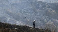 Bolivie: les incendies ont ravagé près d’un million d’hectares