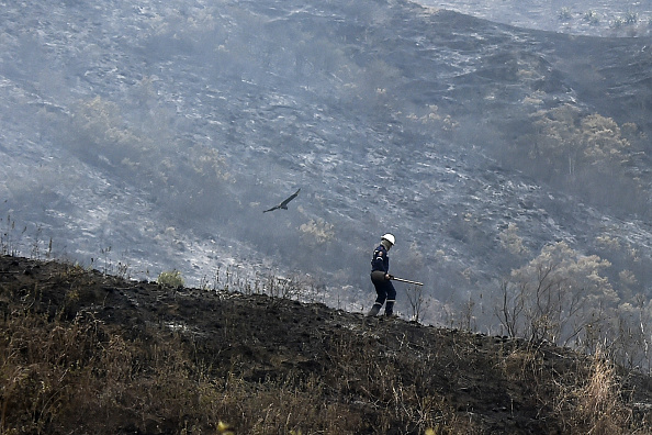 -Illustration- Le directeur de l'Autorité des forêts et des terres (ABT), a déclaré que la zone touchée par l'incendie en Bolivie atteignait 950.000 hectares, et que les flammes avaient détruit 32% de la forêt de Chiquitano. Photo de LUIS ROBAYO / AFP / Getty Images.