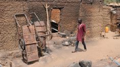 Cameroun: HRW dénonce des exactions sur des handicapés dans les zones anglophones