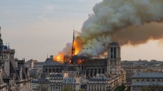 Pollution au plomb autour de Notre-Dame : « toutes les écoles ouvriront parce qu’il n’y a aucun risque » assure la mairie