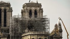 Notre-Dame : les autorités rappellent « l’urgence » d’éviter un effondrement