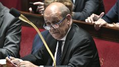 Enseignement du français à l’étranger : 25 millions d’euros supplémentaires débloqués en 2020