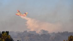 Incendie du Gard: un avion tracker s’écrase alors qu’il luttait contre l’incendie – le pilote meurt