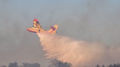 Incendie : 900 hectares déjà ravagés, le feu continue toujours de progresser dans l’Aude