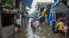 Mousson en Inde: un million de déplacés, 184 morts dans des inondations