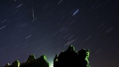 Pluie d’étoiles filantes : ne ratez pas la nuit des Perséïdes de lundi à mardi