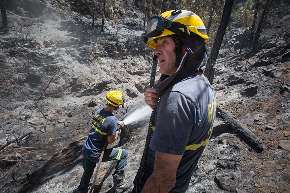 Les pompiers inspectent une forêt touchée par des incendies de forêt à Gran Canaria, dans les îles Can aries espagnoles, le 13 août 2019.(Photo : DESIREE MARTIN/AFP/Getty Images)