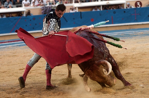 Le matador espagnol Daniel Luque à Bayonne. (Photo :  IROZ GAIZKA/AFP/Getty Images)