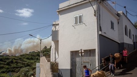 Incendie de Grande Canarie: les évacués devraient être relogés mercredi