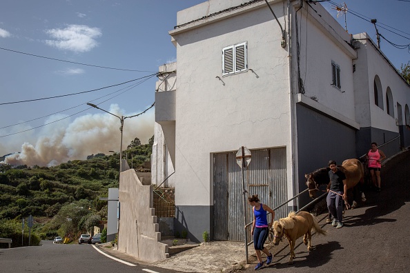 -Les résidents évacuent leurs maisons dans la ville de Lomo del Pino alors qu'un incendie de forêt fait rage sur l'île de Grande Canarie le 18 août 2019. Photo de DESIREE MARTIN / AFP / Getty Images.
