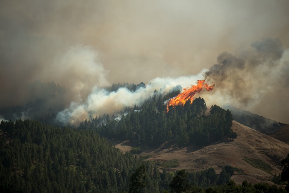 Les flammes s'élèvent d'un feu de forêt qui fait rage au Montana Alta sur l'île de Gran Canaria le 18 août 2019.  (Photo : DESIREE MARTIN/AFP/Getty Images)