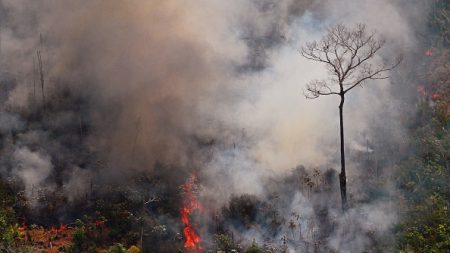 Incendies en Amazonie: Bolsonaro, sous pression, autorise l’envoi de l’armée