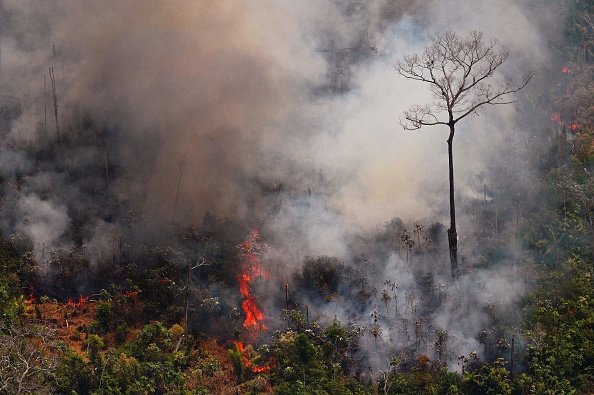 -Photo aérienne montrant un incendie dans la forêt amazonienne à environ 65 km de Porto Velho, dans l'état de Rondonia, dans le nord du Brésil, le 23 août 2019. Photo de Carl DE SOUZA / AFP / Getty Images.