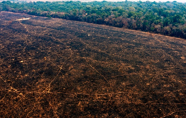 -Vue aérienne des zones brûlées de la forêt amazonienne, près de Porto Velho, dans l'État de Rondonia, au Brésil, le 24 août 2019. Le président Jair Bolsonaro a autorisé vendredi le déploiement des forces armées brésiliennes pour aider à lutter contre les incendies qui sévissent dans la forêt amazonienne. Photo de CARLOS FABAL / AFP / Getty Images.