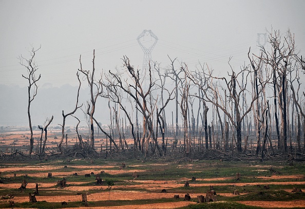 Vue des zones brûlées de la forêt amazonienne, près d'Abuna, État de Rondonia, Brésil, le 24 août 2019. (Photo : CARL DE SOUZA/AFP/Getty Images)