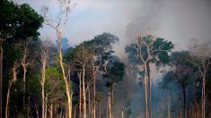 Incendies en Amazonie : le G7 va envoyer une flotte d’avions bombardiers d’eau