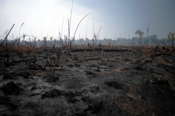 Vue d'une zone brûlée de la forêt amazonienne, près de Porto Velho, État de Rondonia, Brésil, le 26 août 2019.       (Photo : CARL DE SOUZA/AFP/Getty Images)