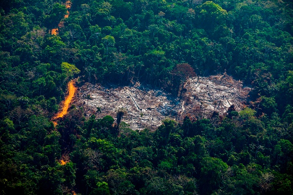 Déforestation dans le terrtoire indègne de . Menkragnoti, au Brésil, le 28 juillet(JOAO LAET/AFP/Getty Images)