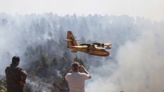 En Grèce, des avions européens aident les pompiers à combattre l’incendie dans l’île d’Eubée